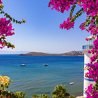 Buy canvas prints of Beautiful pink and purple flowers frame a sea view in Ortakent,  by Alan Hill