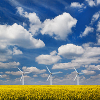 Buy canvas prints of Wind turbines in a field under blue skies by Alan Hill