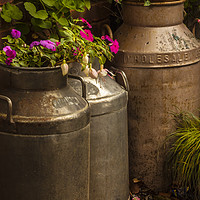 Buy canvas prints of Flowers in old milk churns by Alan Hill