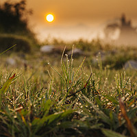 Buy canvas prints of Sunrise on the field by Pham Do Tuan Linh