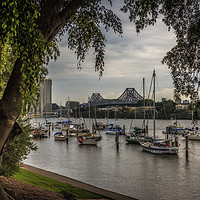 Buy canvas prints of Brisbane Story Bridge through tree canopy by Ian Leishman