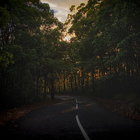 Buy canvas prints of Winding wet road into forrest by Ian Leishman