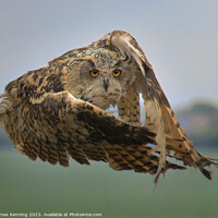 Buy canvas prints of Eurasian Eagle Owl mid-flight by James Kenning