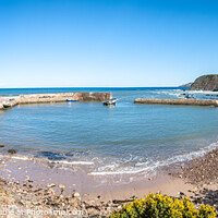 Buy canvas prints of Panorama of Cove Harbour on a clear sunny day at high tide by Dave Collins
