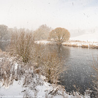 Buy canvas prints of Falling snow over the Teviot River in the Scottish Borders, UK by Dave Collins