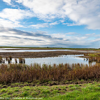 Buy canvas prints of RSPB Frampton Marsh Nature Reserve, England by Dave Collins