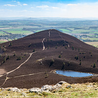 Buy canvas prints of Eildon Wester Hill from the top of Eildon Mid Hill in the Scottish Borders by Dave Collins