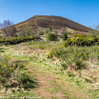 Buy canvas prints of East Side footpath up Eildon Hill North, Scottish Borders, UK by Dave Collins