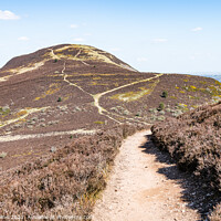Buy canvas prints of West Side Path up Eildon Hill North, Scottish Borders, UK by Dave Collins