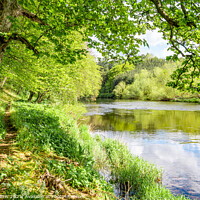 Buy canvas prints of Footpath along the bank of the River Teviot in the Scottish Borders by Dave Collins