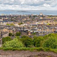Buy canvas prints of View of Edinburgh from Carlton Hill looking North at Leith, Scotland by Dave Collins