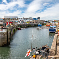 Buy canvas prints of Boats Docked in Seahouses Harbour, Northumberland by Dave Collins