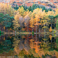 Buy canvas prints of Autumn Colour Reflections in Blea Tarn in the Lake District, England by Dave Collins