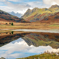 Buy canvas prints of Outdoor Reflections in Blea Tarn in the Langdales hanging Valley in the Lake District, Cumbria, England by Dave Collins