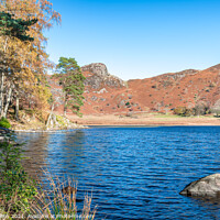 Buy canvas prints of Outdoor Blea Tarn in the Langdales hanging Valley in the Lake District by Dave Collins