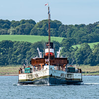 Buy canvas prints of Paddle Steamer Waverley arriving at Largs in Scotland, Largs, Scotland by Dave Collins