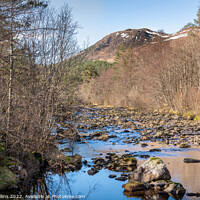 Buy canvas prints of River Affric just below Dog Falls in Glen Affric, Highlands, Scotland by Dave Collins