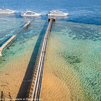 Buy canvas prints of Scuba Dive Boats moored at Daedalus Reef, Red Sea, by Dave Collins