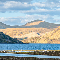 Buy canvas prints of Outdoor Loch Etive at Low tide, Argyll and Bute, Scotland by Dave Collins