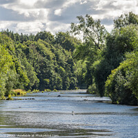 Buy canvas prints of The River Teviot near Roxburgh by Dave Collins