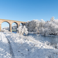 Buy canvas prints of Roxburgh Viaduct over the river teviot in snow in the Scottsih Borders by Dave Collins