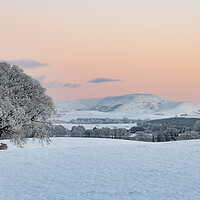 Buy canvas prints of Sunset over snow covered fields and trees in the Scottish Borders, United Kingdom by Dave Collins