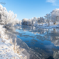 Buy canvas prints of Outdoor Reflections of snow covered trees in the River Teviot, Scottish Borders, United Kingdom by Dave Collins