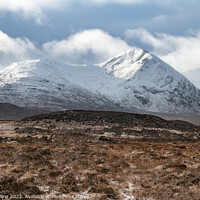Buy canvas prints of Black Mount Area (Am Monadh Bubh) in Glencoe, Highlands, Scotland by Dave Collins