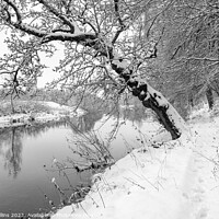 Buy canvas prints of Monochrome Sun breaking through the mist over the Teviot River in winter snow in the Scottish Borders by Dave Collins