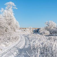 Buy canvas prints of Roxburgh Viaduct over the river teviot in snow in  by Dave Collins