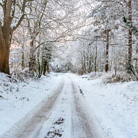 Buy canvas prints of Snow covered lane in the Scottish Borders in the United Kingdom by Dave Collins