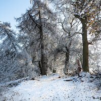 Buy canvas prints of Snow covered in public footpath in the Scottish Borders by Dave Collins