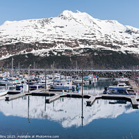 Buy canvas prints of Snow covered mountain reflected in the calm waters of Whittier marina, Whittier, Alaska, USA by Dave Collins