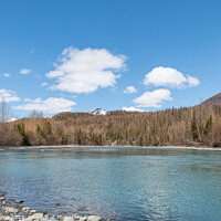 Buy canvas prints of The Kenai River East of Sterling in Alaska, USA. by Dave Collins