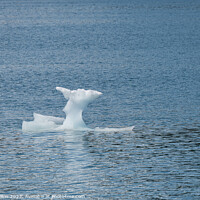 Buy canvas prints of Strangley shaped growler (little iceberg) floating in College Fjord in Alaska, USA by Dave Collins