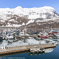 Buy canvas prints of Outdoor Snow covered mountain reflected in the calm waters of Whittier marina, Whittier, Alaska, USA by Dave Collins