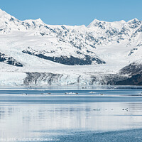 Buy canvas prints of Harvard Tidewater Glacier at the end of College Fjord, Alaska, USA by Dave Collins