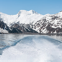 Buy canvas prints of The wake of a boat and the mountains around Price William Sound, Alaska, USA by Dave Collins