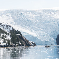 Buy canvas prints of Blackstone Tidewater Glacier in Blackstone bay, Alaska, USA by Dave Collins