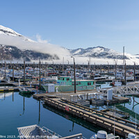 Buy canvas prints of Outdoor Pleasure and Fishing boats in Whittier marina with clouds and mist hanging on the mountains behind, Alaska, USA by Dave Collins