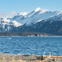 Buy canvas prints of The mountains of Lake Clark National Park and Preserve from the Kenai Peninsular across the Cook Inlet.n by Dave Collins
