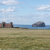 Buy canvas prints of The remains of Tantallon Castle with Bass Rock in the Firth of Forth behind, North Berwick, East Lothian, Scotland by Dave Collins
