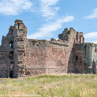 Buy canvas prints of The remains of the north and west walls of Tantallon Castle, North Berwick, East Lothian, Scotland by Dave Collins