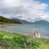 Buy canvas prints of Beach in Chilkat State Park, Haines, Alaska, USA from Kelgaya Point by Dave Collins