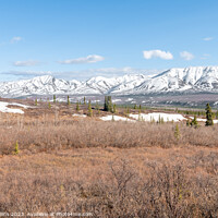 Buy canvas prints of Denali National Park from the Savage River Alpine Trail, Alaska, USA by Dave Collins