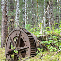 Buy canvas prints of Abandoned Mining Machinery in woodland in William Henry Bay, Alaska, USA by Dave Collins
