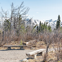 Buy canvas prints of Seats in a rest area of the Savage River Trail in Denali National Park, Alaska, USA by Dave Collins