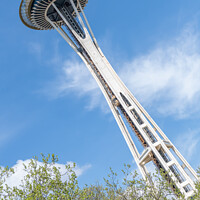 Buy canvas prints of Dutch angle view of the Space Needle from Seattle Center, Seattle, Washington, USA by Dave Collins