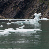 Buy canvas prints of Strangely shaped growlers (little icebergs) floating in Icy Bay in Alaska, USA by Dave Collins
