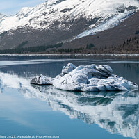 Buy canvas prints of Strangely shaped growlers (little icebergs) with reflections floating in Prince William Sound in Alaska, USA by Dave Collins